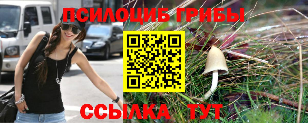 Псилоцибиновые грибы мицелий Сосновоборск