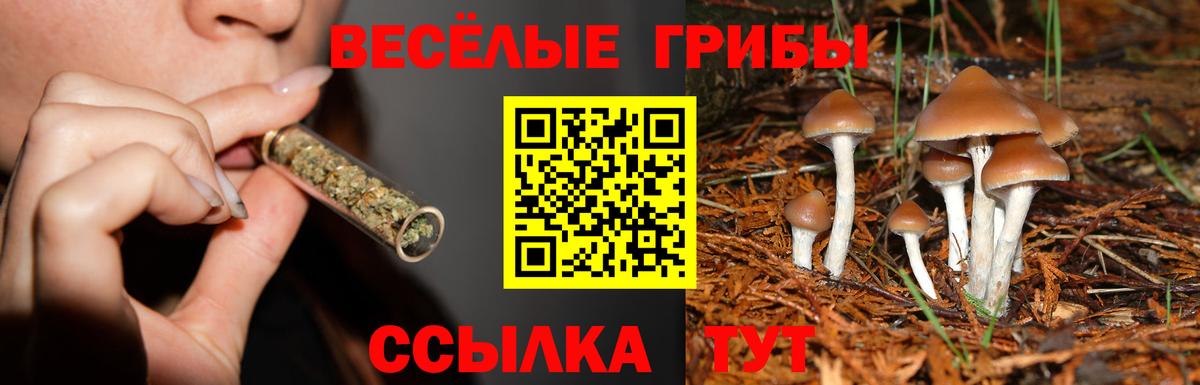 Сосновоборск  Галлюциногенные грибы MAGIC MUSHROOMS  Галлюциногенные грибы Psilocybine cubensis  Вход с VPN 